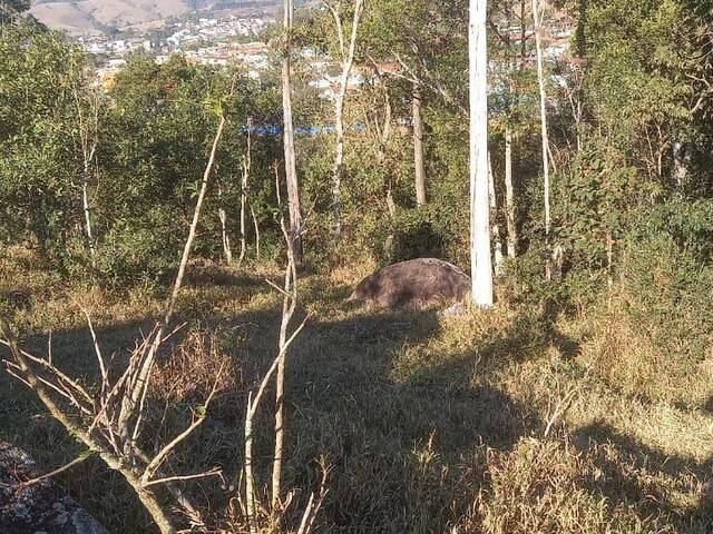 #2 - Chácara para Venda em Nazaré Paulista - SP